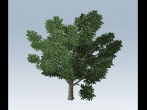 simple tree 3D Model
