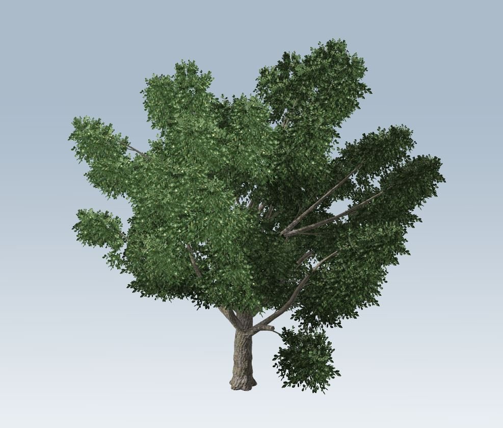 Simple tree