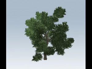 simple tree 3D Model