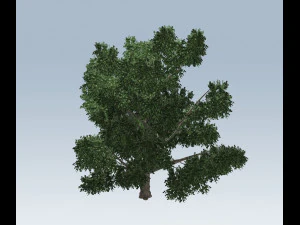 simple tree 3D Model