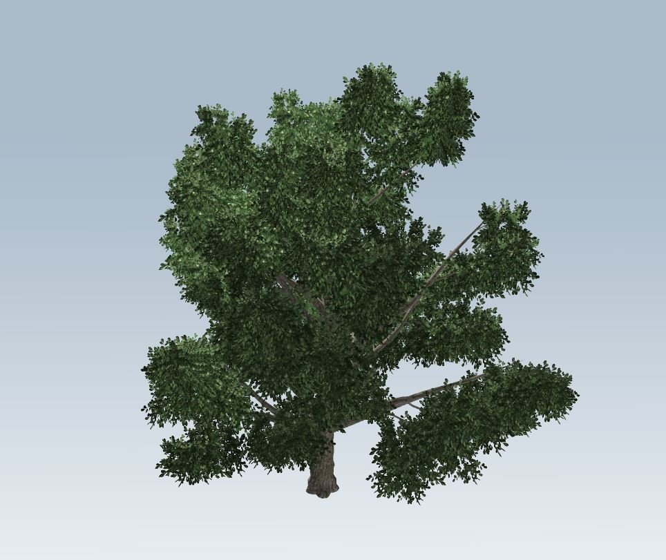 Simple tree