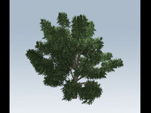simple tree Modelo 3D