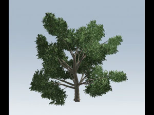 simple tree 3D Model