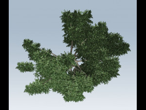 simple tree Modelo 3D