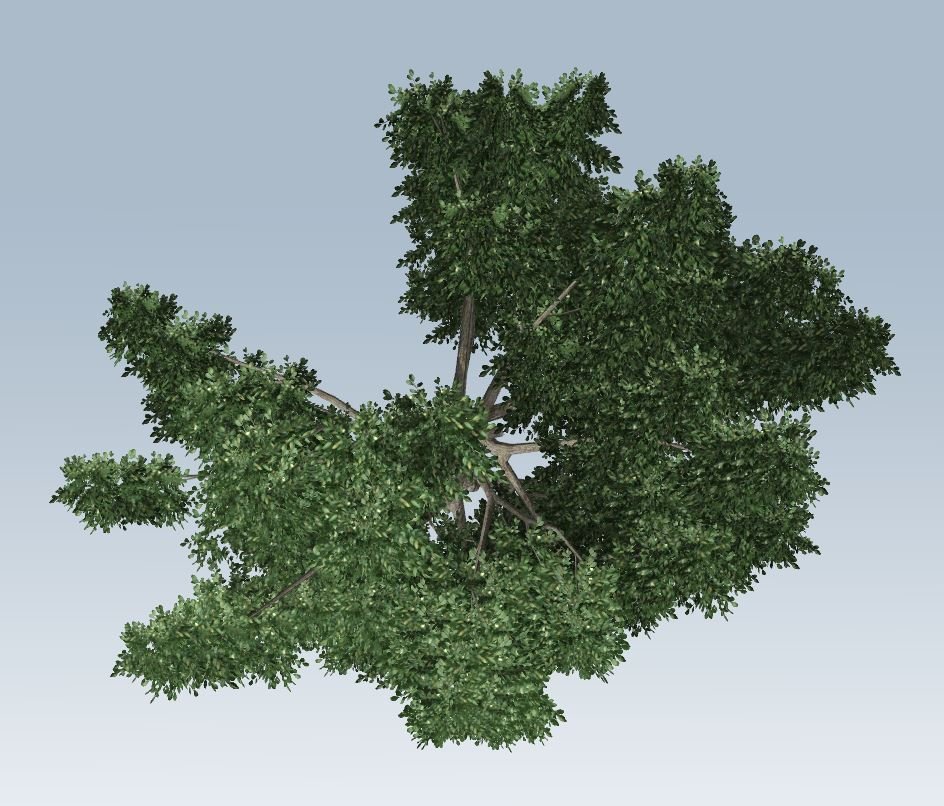 Simple tree