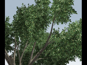 simple tree Modelo 3D