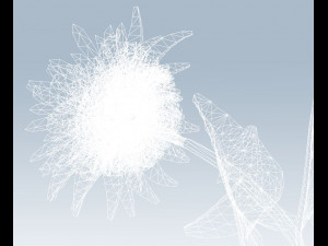 sunflower 3D Model