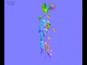 sunflower 3D Model