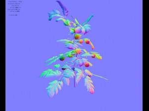 tomato 3D Модель