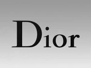 Старий логотип Dior 3D Модель