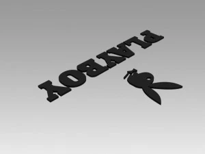 playboy logo 3D Model
