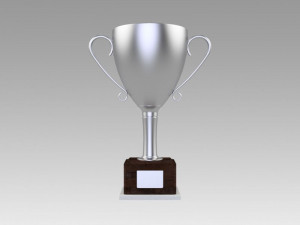 silver trophy 3Dモデル