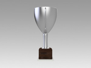 silver trophy 3Dモデル