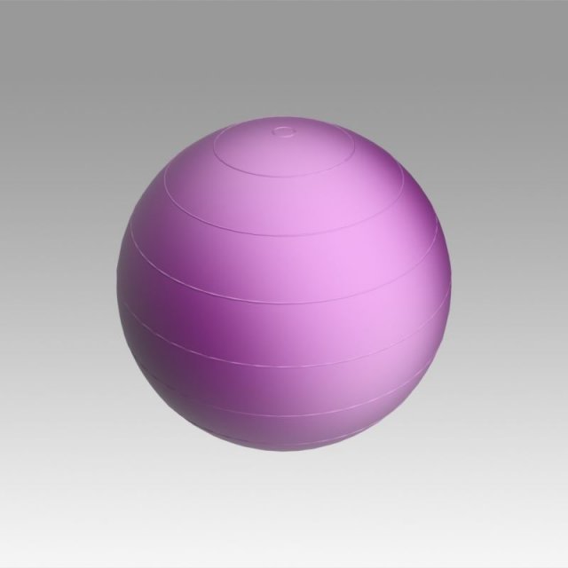 swiss ball 3D Model .c4d .max .obj .3ds .fbx .stl .blend 