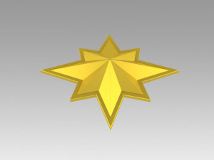 captain marvel emblem 3D 프린트 모델