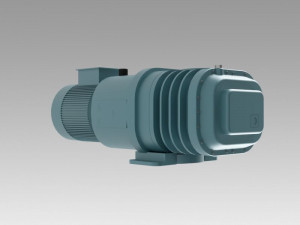 twin rotor vacuum pump Modello 3D