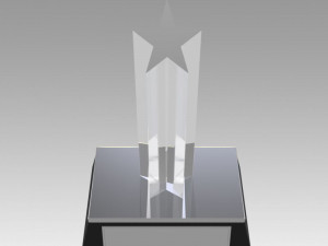 award figurine star silver 3D 프린트 모델