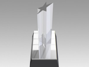 award figurine star silver 3D 프린트 모델