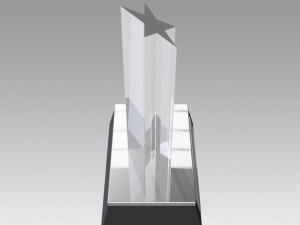 award figurine star silver 3D 프린트 모델