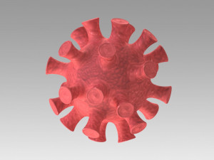 corona virus 3D Model