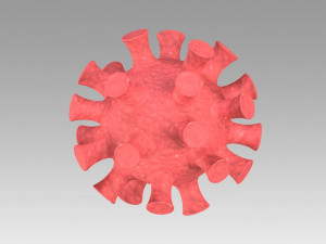 corona virus 3D Model