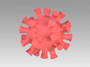 corona virus 3D Model