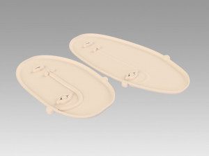 face tray 3Dプリントモデル