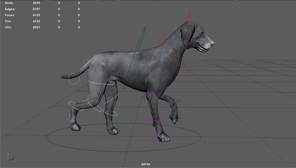Walking Cycle Animated Low Poly Model Of A Dog 3d Model In Dog
