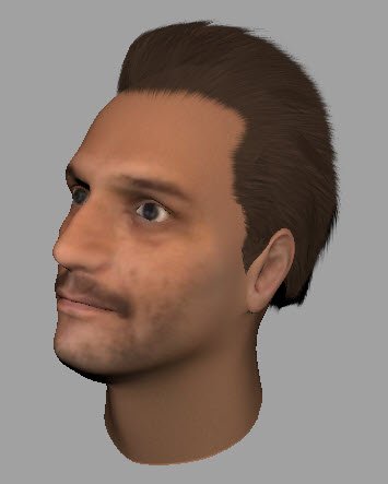 Low Poly Man Hair 3d Model In Man 3dexport