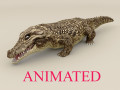 Realistic Animated Crocodile-Rigged 3D-Modell