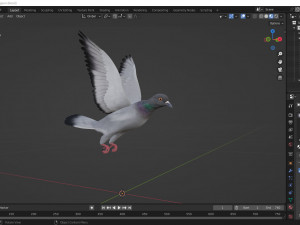 Realistic flying Pigeon - LOOP FLIGHT animations Low-poly Modelo 3D