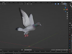 Realistic flying Pigeon - LOOP FLIGHT animations Low-poly 3D Model