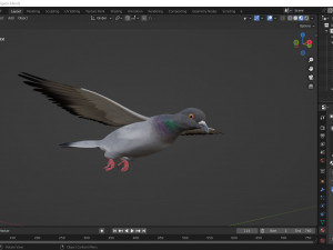 Realistic flying Pigeon - LOOP FLIGHT animations Low-poly Modelo 3D