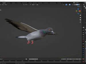 Realistic flying Pigeon - LOOP FLIGHT animations Low-poly 3D Model