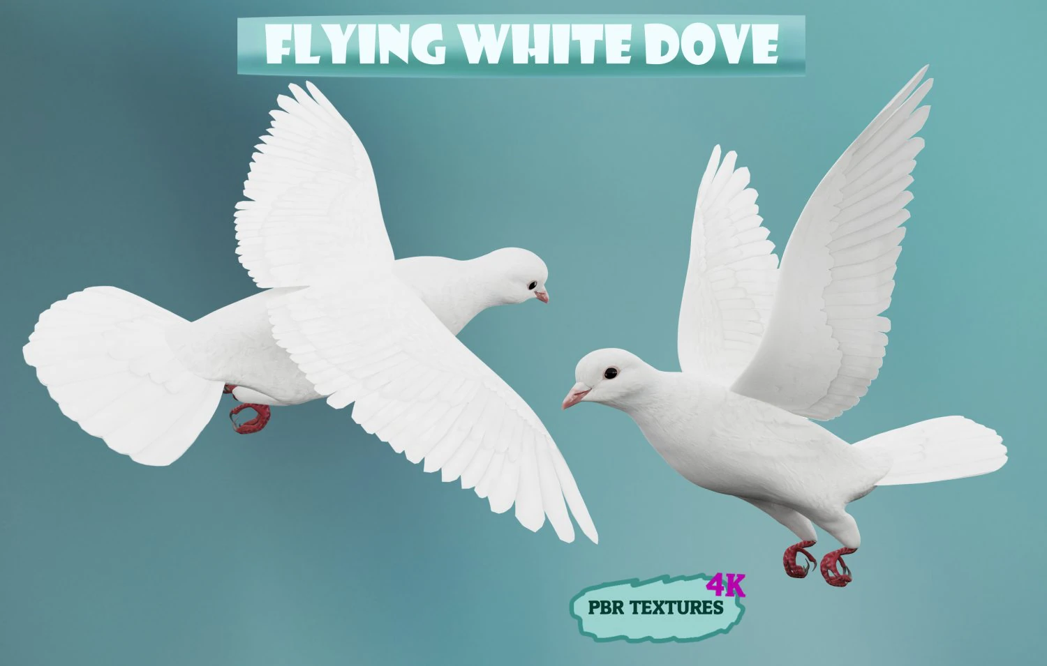Animazioni di volo realistico White Dove-LOOP FLIGHT Low-poly Modello 3D .c4d .max .obj .3ds .fbx .stl .blend