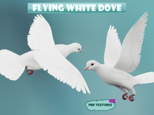 Realistic flying White Dove- LOOP FLIGHT animations Low-poly 3D-Modell