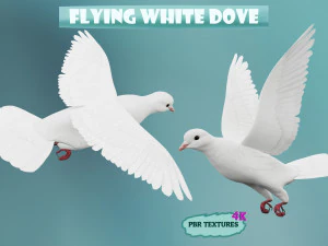 Реалистичный полет белого голубя - анимация LOOP FLIGHT Низкополигональная 3D Модель
