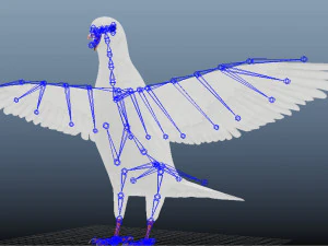 Animazioni di volo realistico White Dove-LOOP FLIGHT Low-poly Modello 3D