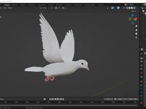 Animazioni di volo realistico White Dove-LOOP FLIGHT Low-poly Modello 3D