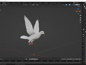 Animazioni di volo realistico White Dove-LOOP FLIGHT Low-poly Modello 3D