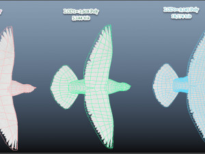 Realistic flying White Dove- LOOP FLIGHT animations Low-poly 3D Model