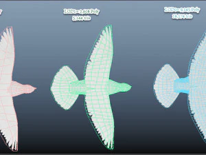 Animazioni di volo realistico White Dove-LOOP FLIGHT Low-poly Modello 3D
