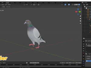 Realistic Animated Rock Pigeon 3D Model