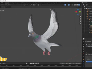 Realistic Animated Rock Pigeon 3D Model