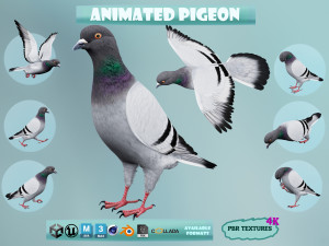 Realistic Animated Rock Pigeon 3D-Modell
