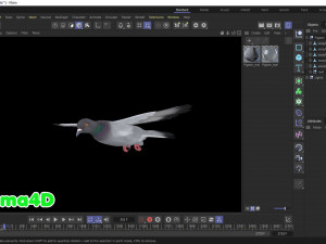 Realistic Animated Rock Pigeon 3D Model
