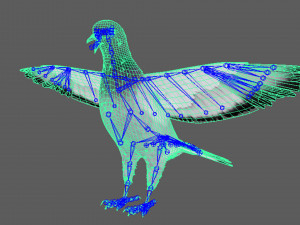 Realistic Animated Rock Pigeon 3D Model