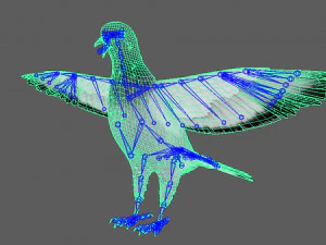 Realistic Animated Rock Pigeon 3D Model