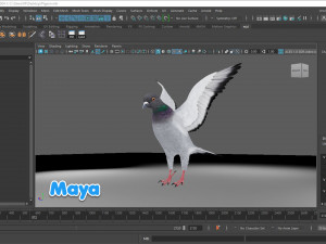 Realistic Animated Rock Pigeon 3D Model