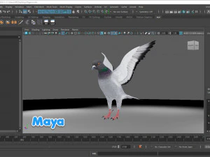 Realistic Animated Rock Pigeon 3D Model